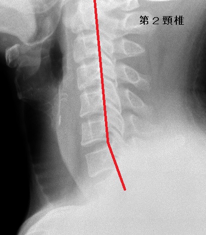 富沢洋一20130729-2.jpg