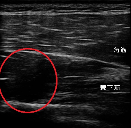 Okamoto_Ryu_20131011131415_1318110.jpg