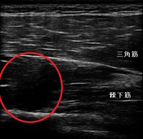 Okamoto_Ryu_20131011131415_1318110.jpg