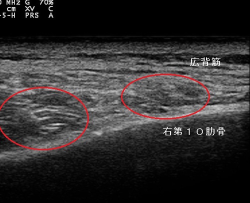 Hosokawa_Takeshi_20121004092904_0945180.jpg