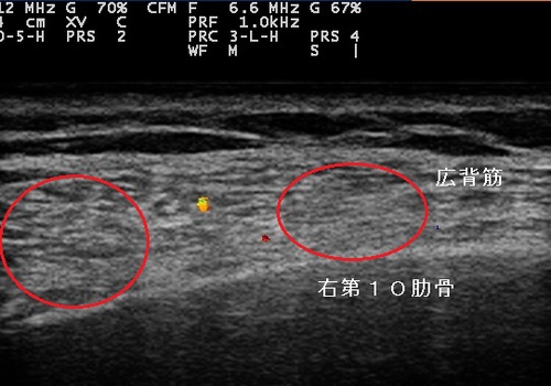 Hosokawa_Takeshi_20121025100815_1023380.jpg